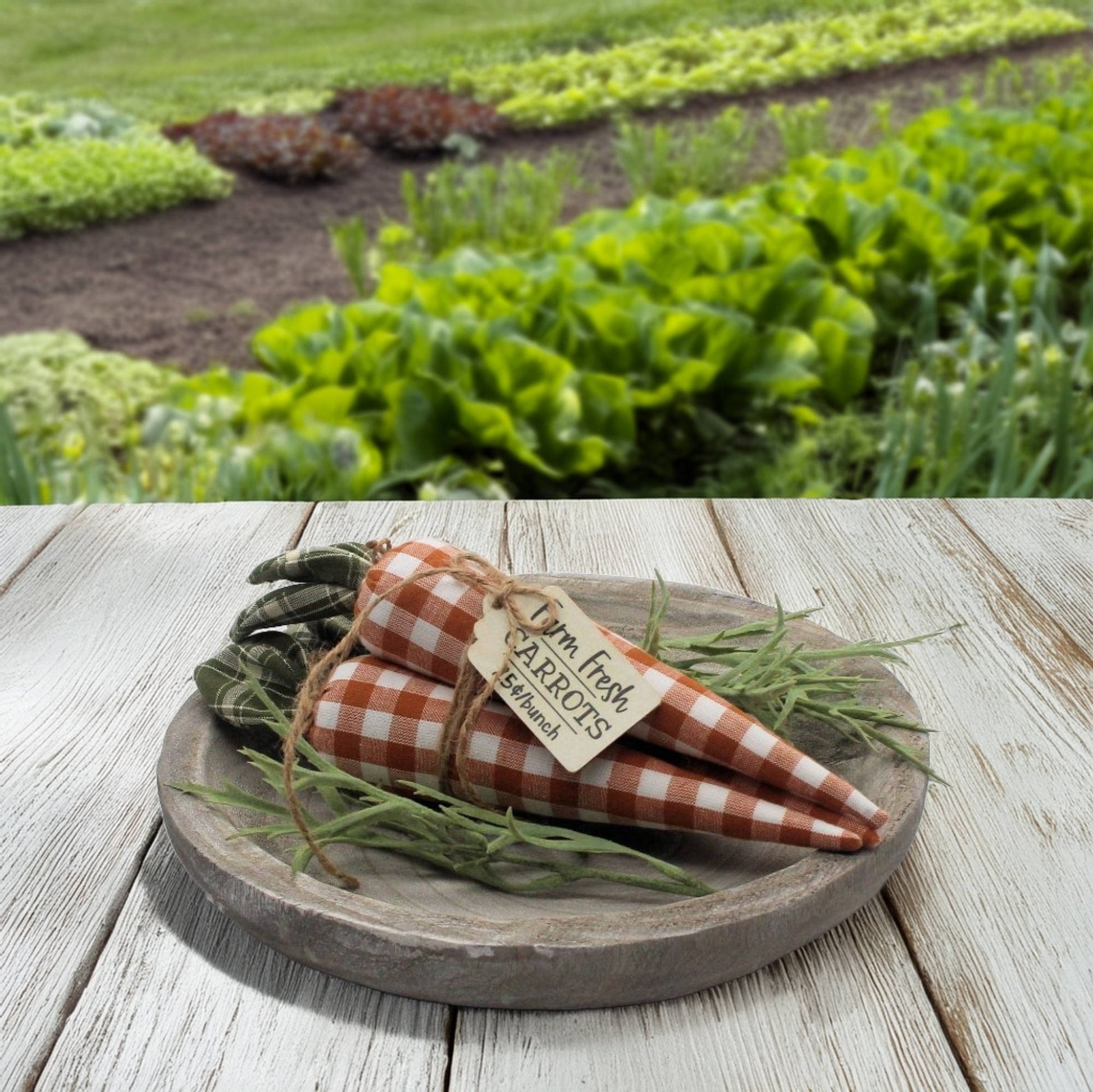 Decorative carrots with a checkered pattern on a wooden plate in front of a garden.
