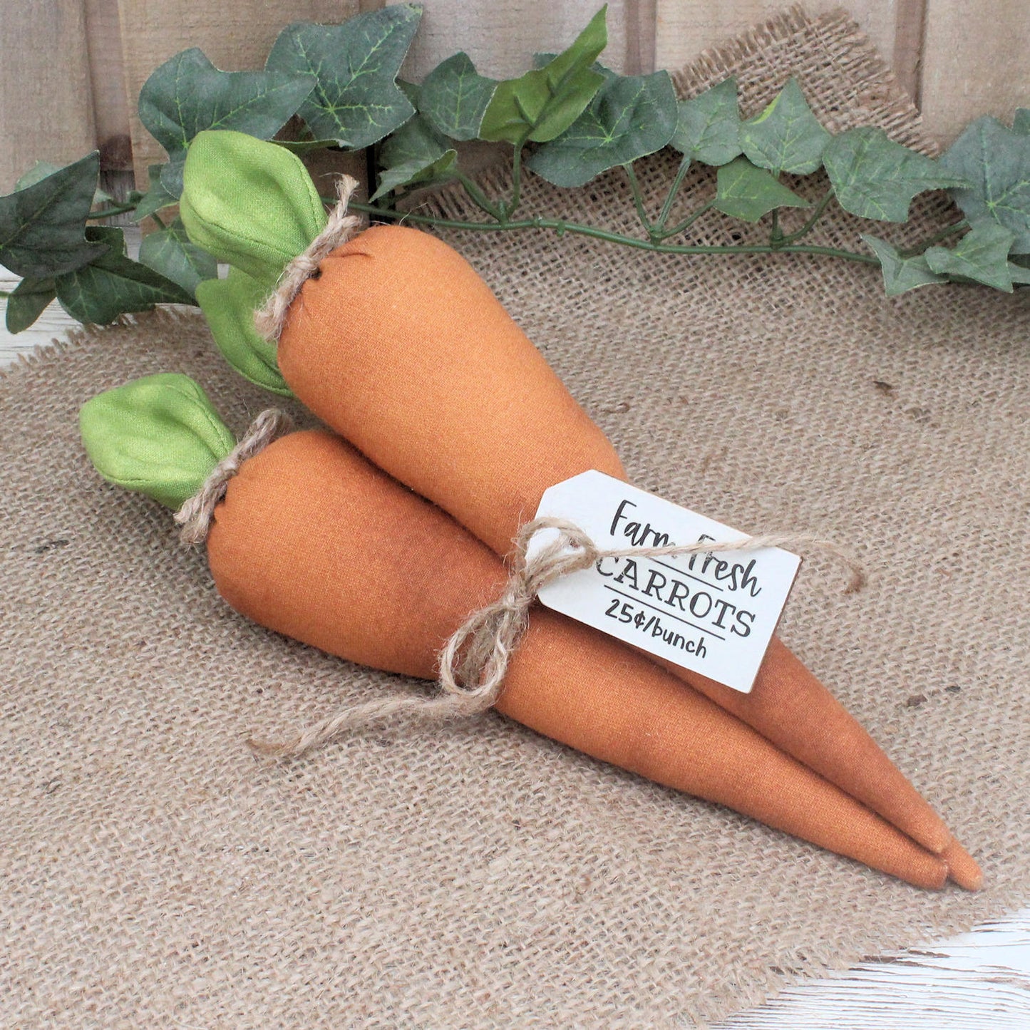 Farm Fresh Carrots Bundle Shelf Sitter