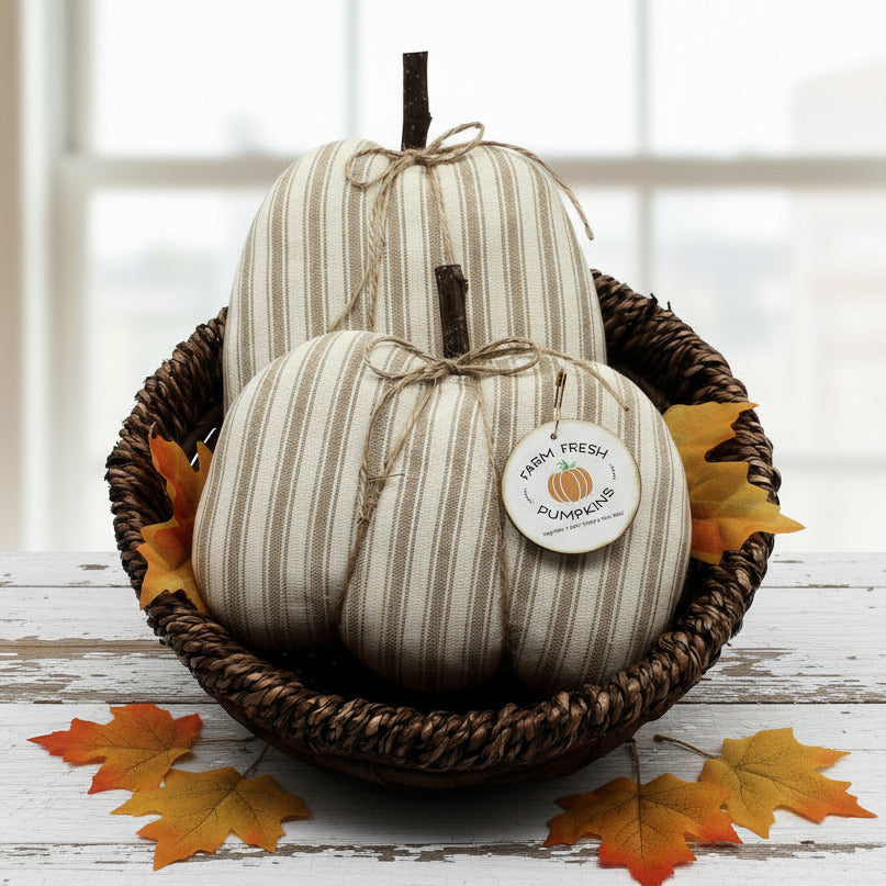 Two striped pumpkins in a woven basket with a 'Farm Fresh Pumpkins' tag on a white background