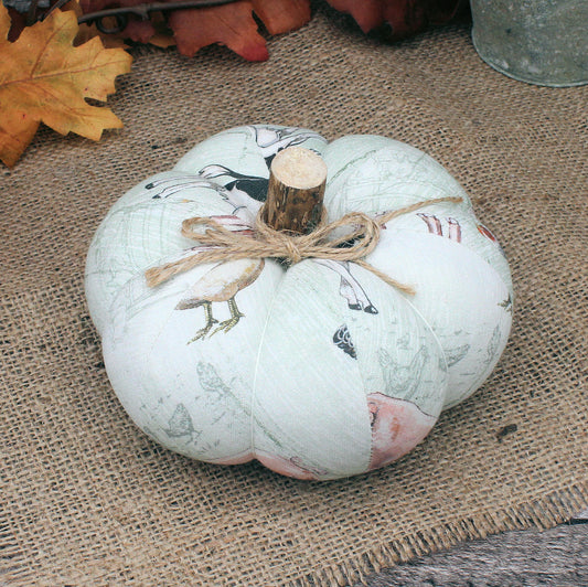 Farmhouse Pumpkin Autumn Home Decor Pastel Farm