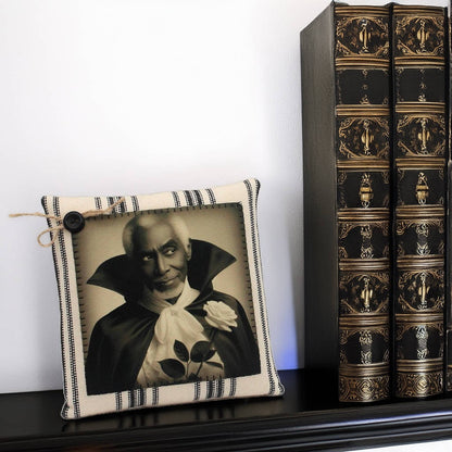 Decorative pillow with a portrait and ornate books on a shelf
