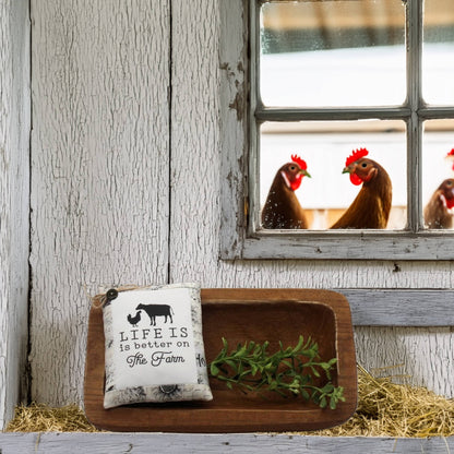 Decorative tray with a pillow and greenery in front of a window with chickens outside.