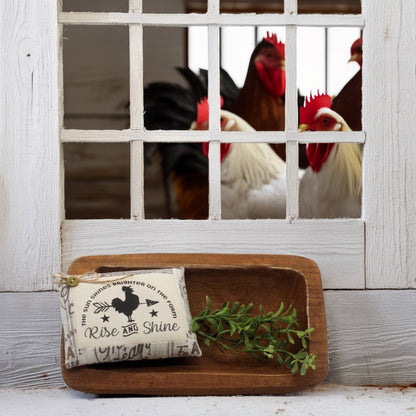 Decorative tray with rooster-themed pillow tuck and plant, behind a window with roosters outside.