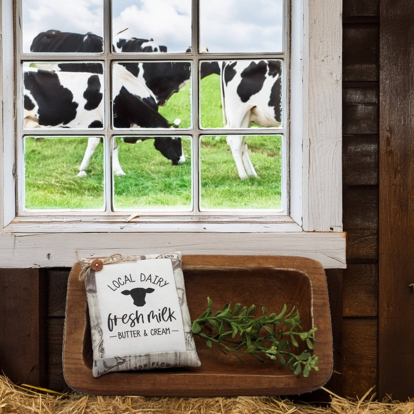 Window view of black and white cows grazing in a field, with a wooden tray and 'Local Dairy' pillow tuck sign in the foreground.