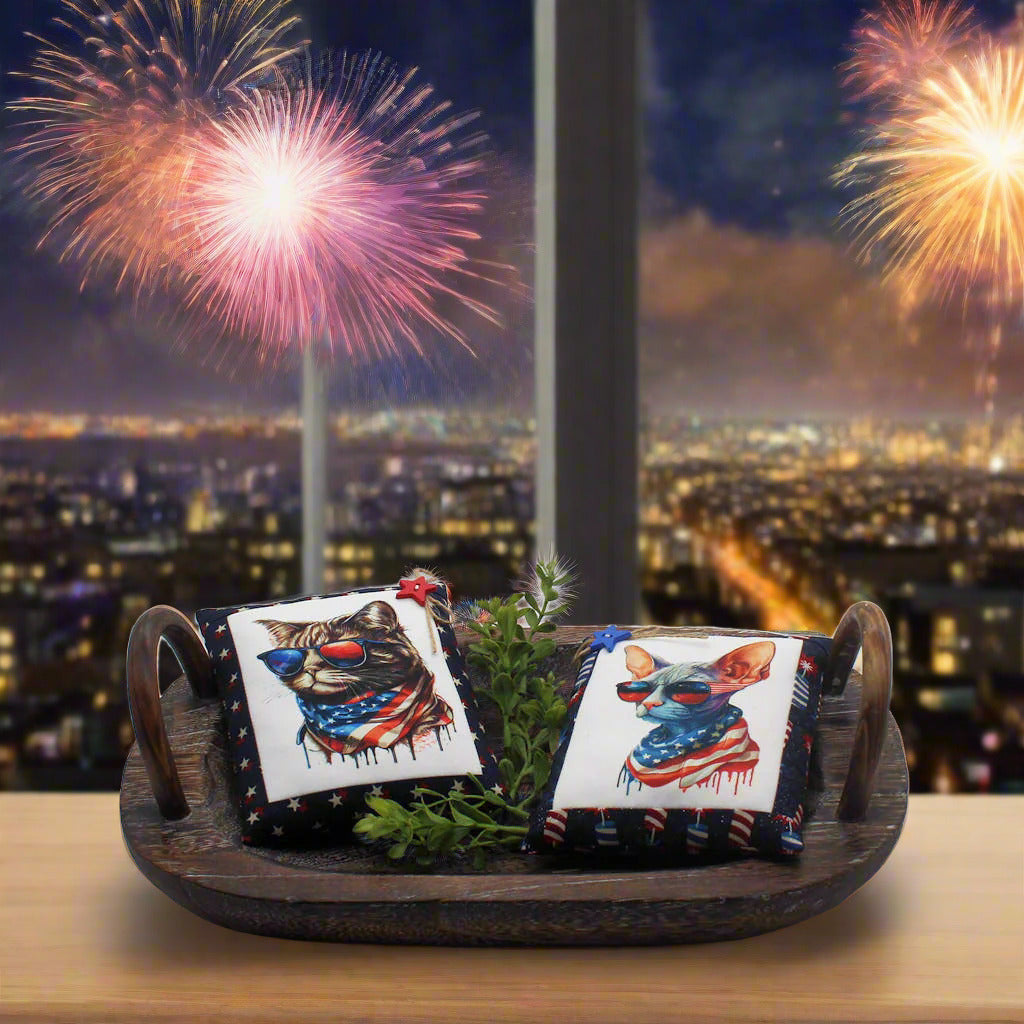 Set of two mini pillow bowl fillers with images of cool patriotic cats in American flag gear