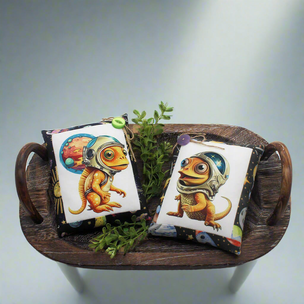 Set of two mini pillow bowl fillers with images on cute chameleon astronauts