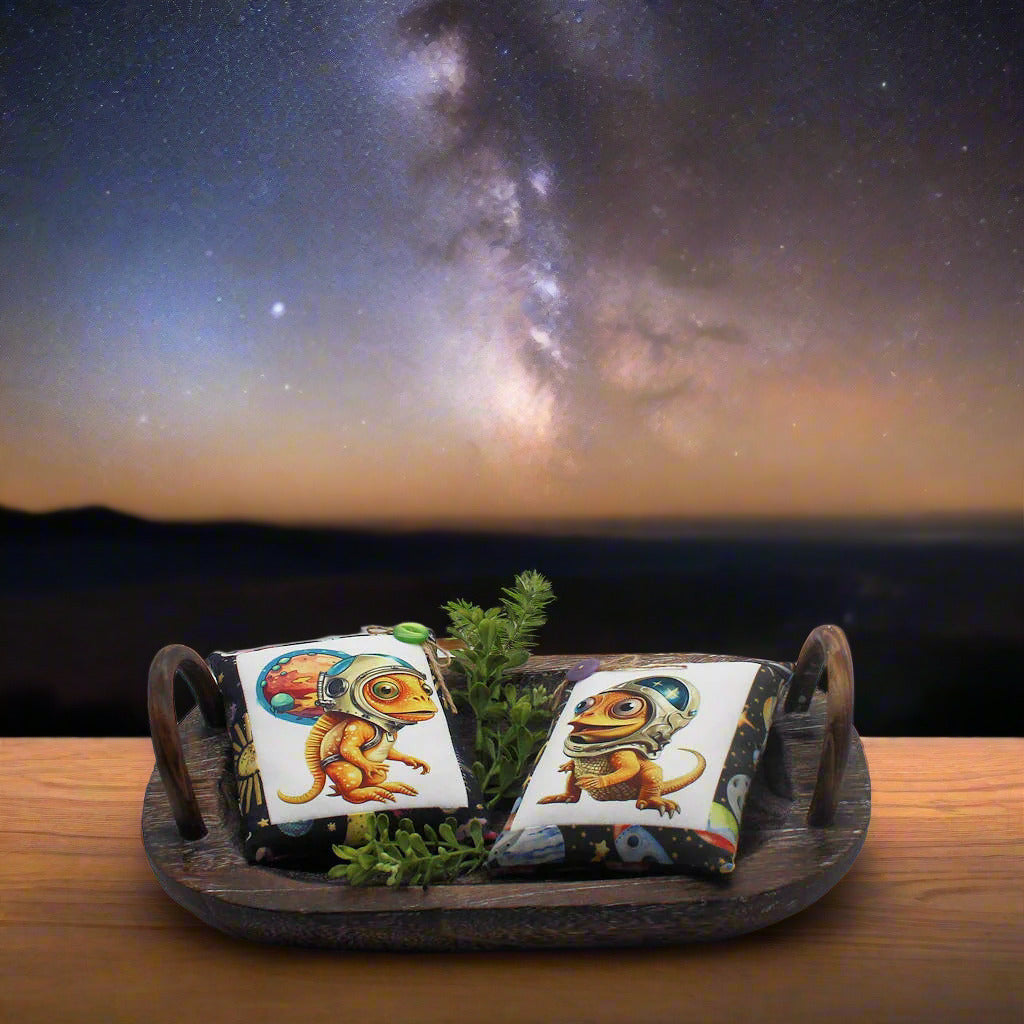 Set of two mini pillow bowl fillers with images of cute chameleon astronauts