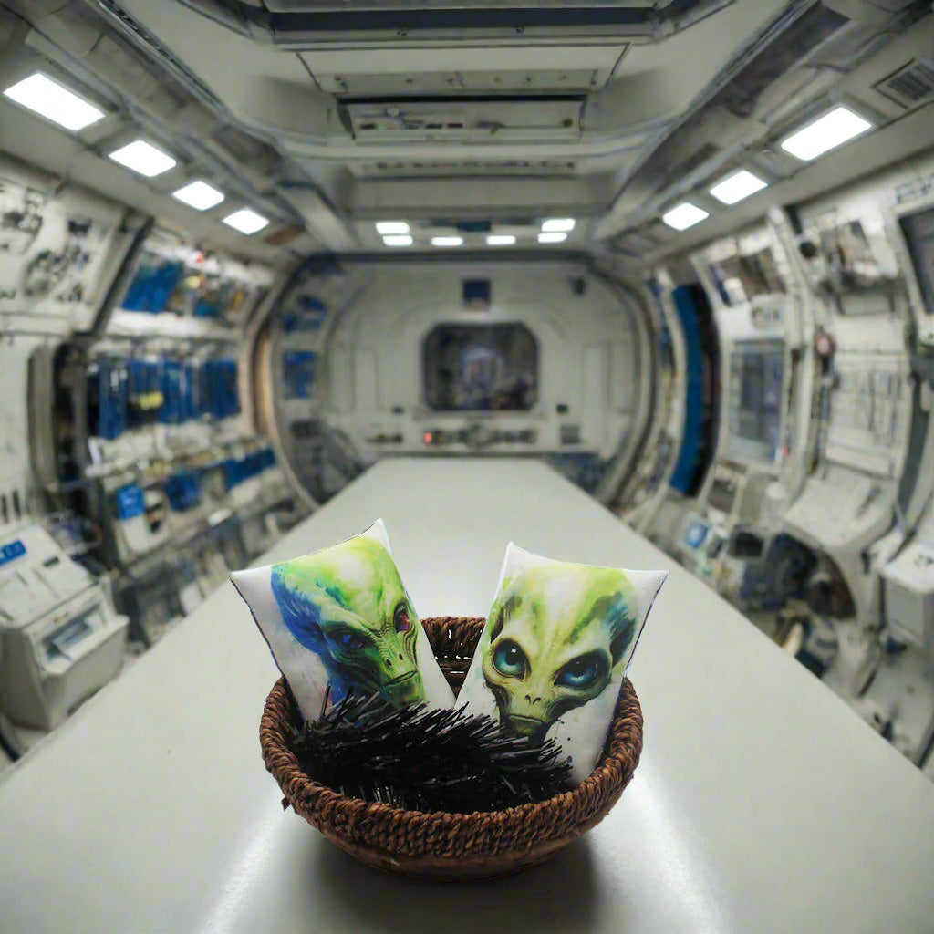 Set of two Halloween mini pillow bowl fillers with creepy space aliens