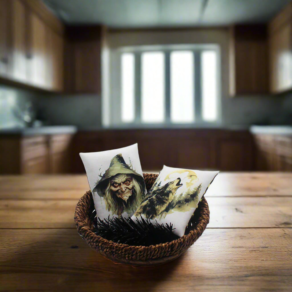 Set of two Halloween mini pillow bowl fillers with a creepy old witch and a howling wolf