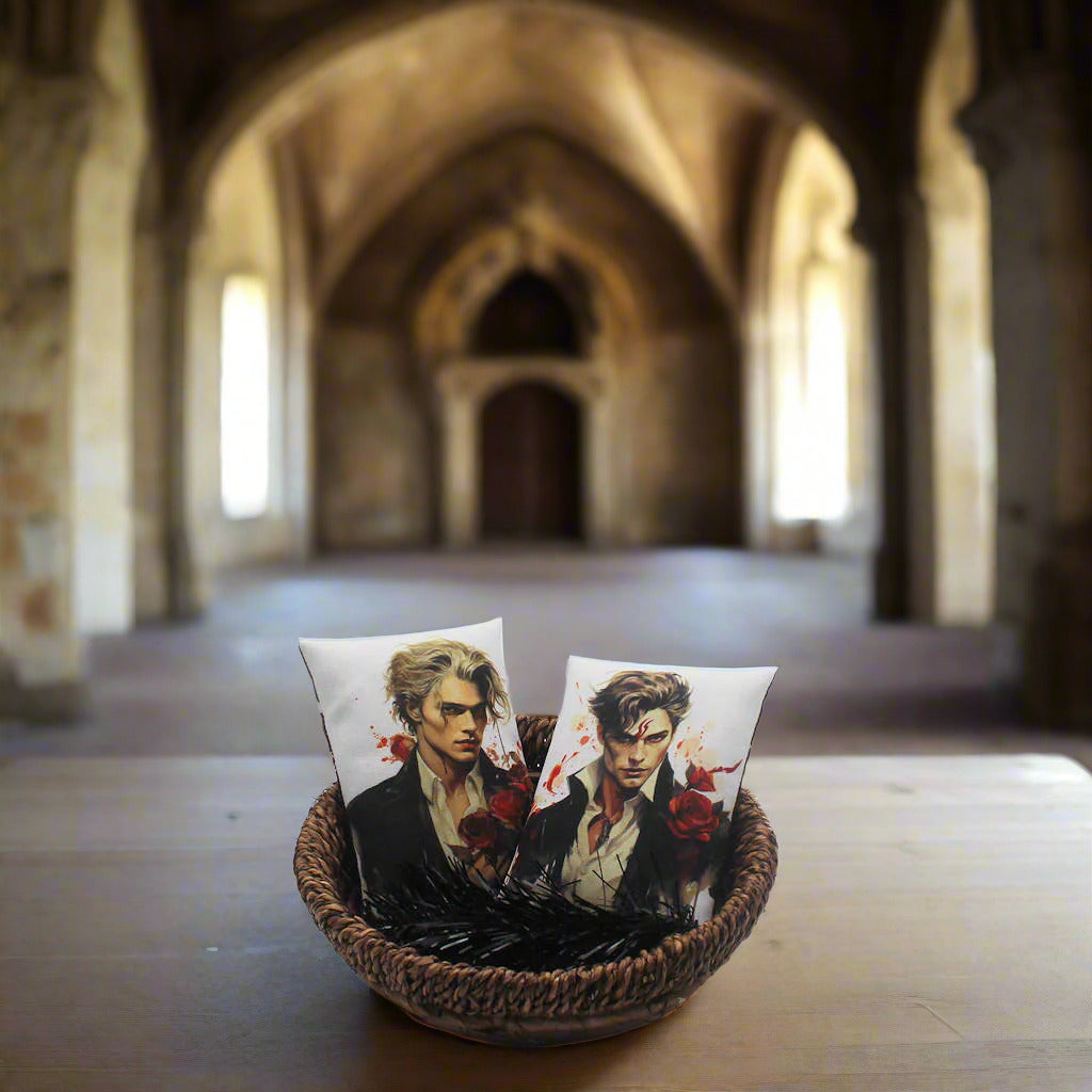 Set of two Halloween mini pillow bowl fillers with images of handsome young vampires with red roses