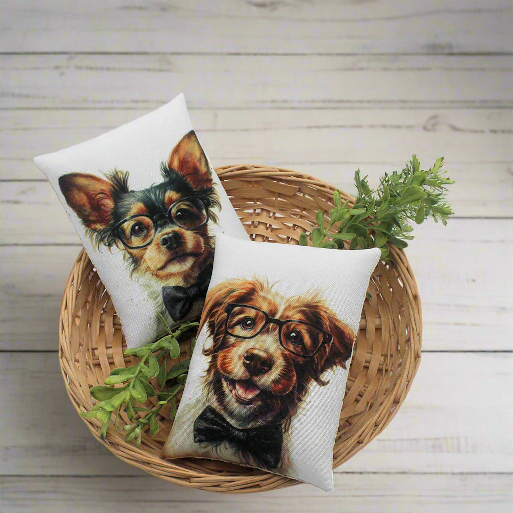 Set of two whimsical mini pillow bowl fillers with cute dogs wearing eye glasses