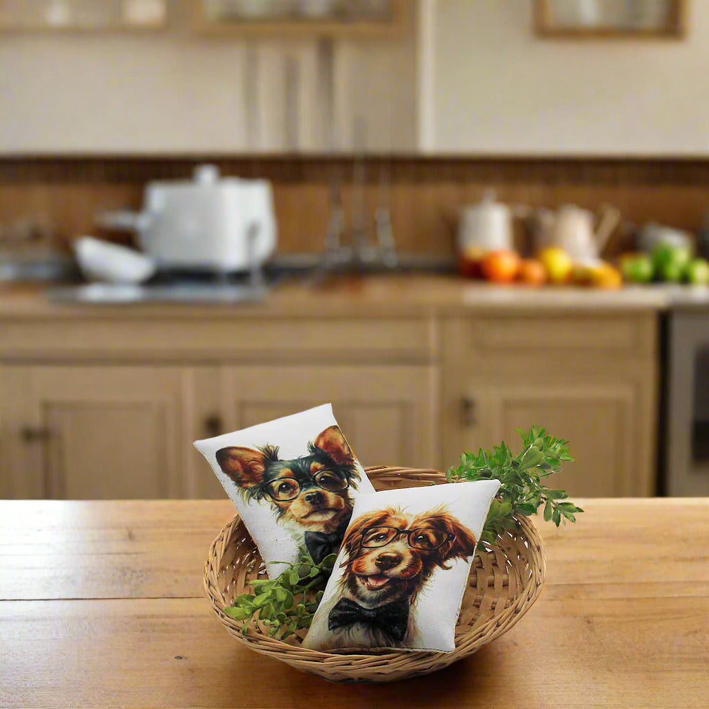 Set of two mini pillow bowl fillers with whimsical images of cute dogs wearing eye glasses