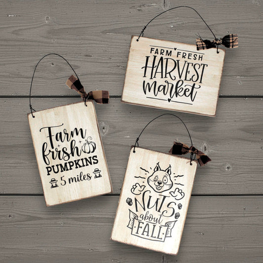 Three wooden signs with autumn-themed text and graphics on a wooden background