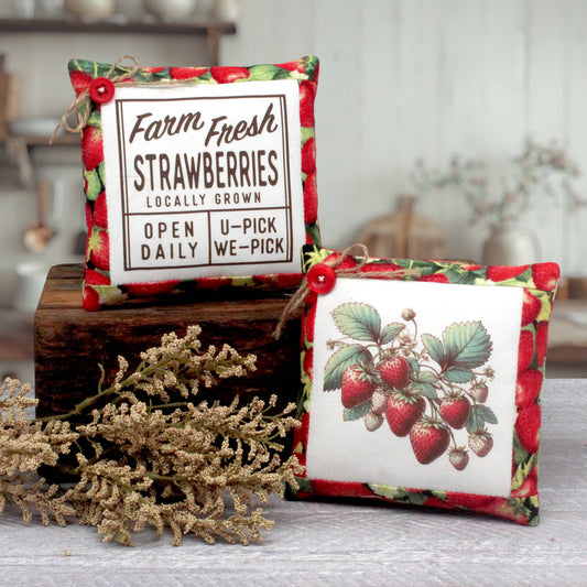 Two strawberry-themed fabric decorative mini pillows displayed on a rustic wooden block with dried floral stems in the foreground. One pillow features a vintage-style 'Farm Fresh Strawberries' label print, and the other shows a detailed illustration of strawberries and green leaves on a white background, both with red strawberry-patterned borders.