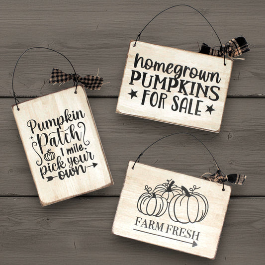 Three wooden signs with pumpkin-themed text on a wooden surface
